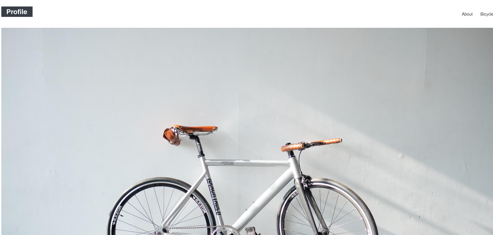 Bicycle Website